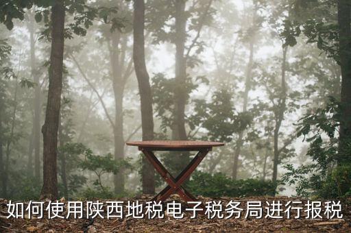 電子稅務(wù)局如何操作，如何使用陜西地稅電子稅務(wù)局進行報稅