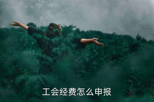 工會經(jīng)費(fèi)怎么申報