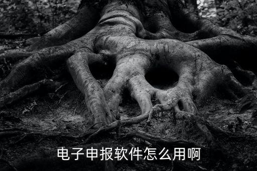 濟南電子稅務(wù)如何使用，網(wǎng)上辦稅平臺手機app怎么操作