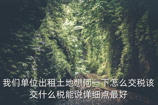 土地出租如何征稅，我們單位出租土地想問一下怎么交稅該交什么稅能說詳細點最好