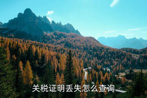 如何查納稅證明，個人的納稅證明網上能查嗎