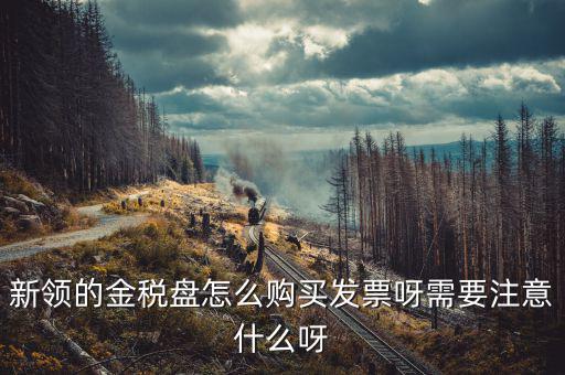 新公司如何購(gòu)買金稅盤，新領(lǐng)的金稅盤怎么購(gòu)買發(fā)票呀需要注意什么呀