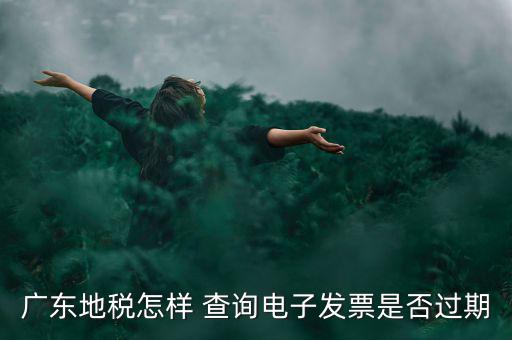 如何查詢(xún)電子發(fā)票是否有效，廣東地稅怎樣 查詢(xún)電子發(fā)票是否過(guò)期