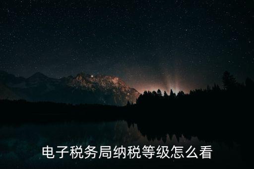 a級納稅人如何查詢，電子稅務(wù)局納稅等級怎么看