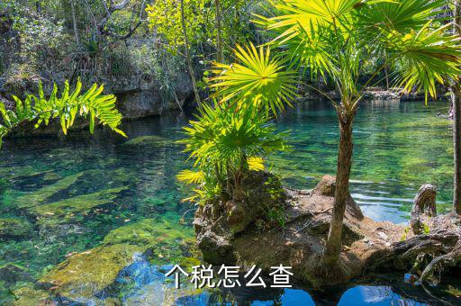 如何查詢個(gè)人稅，個(gè)稅怎么查