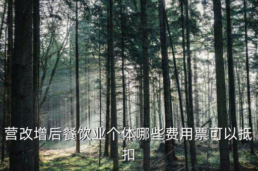 餐飲業(yè)如何抵扣，餐飲業(yè)無法向個(gè)人消費(fèi)者開具增值稅專用發(fā)票那怎么抵扣進(jìn)項(xiàng)稅
