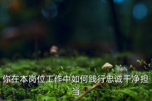 稅務(wù)干部如何講忠誠，如何做對黨忠誠個人干凈敢于的好干部