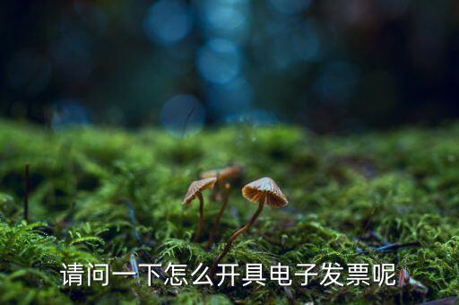 上海如何申領(lǐng)電子發(fā)票，請問一下怎么開具電子發(fā)票呢