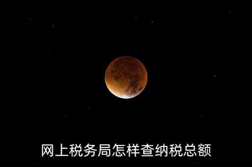 國稅局如何查稅，網(wǎng)上稅務(wù)局怎樣查納稅總額
