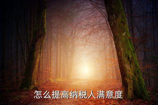 如何提升納稅人獲得感，怎么提高納稅人滿意度