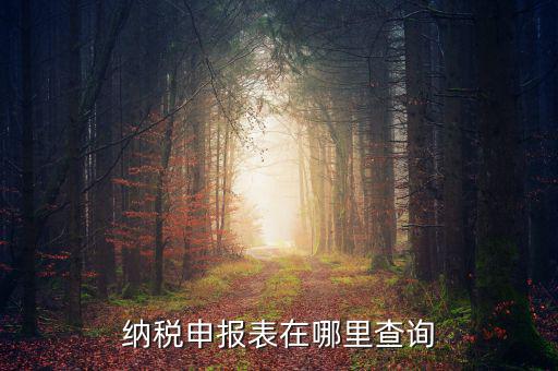 北京地稅如何查詢申報(bào)表，電子稅務(wù)局怎樣查詢以往申報(bào)表