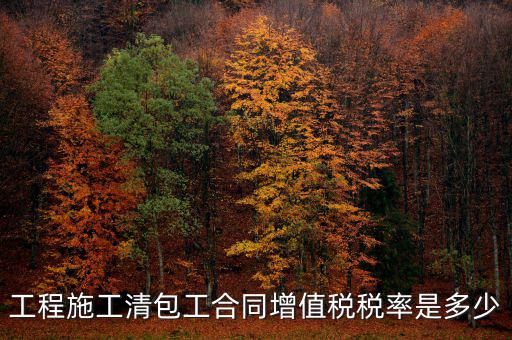 清包工 如何稅務(wù)，一般納稅人去國(guó)稅說明是清包工怎么寫說明