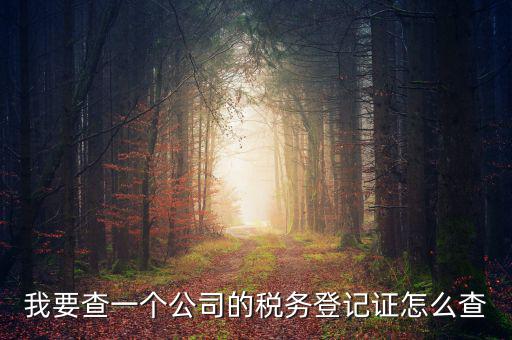 如何查企業(yè)的稅務(wù)登記證號(hào)，公司的稅務(wù)登記證號(hào)怎么查詢