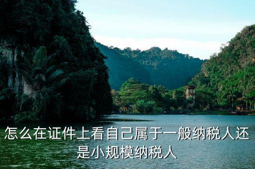 如何證明是一般納稅人，一般納稅人證明是什么