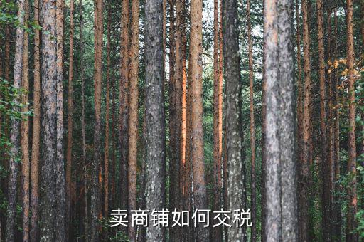商鋪如何交稅，賣商鋪如何交稅