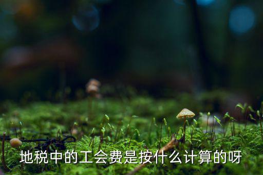 交地稅時的工會經(jīng)費如何計算方法，地稅中的工會費是按什么計算的呀