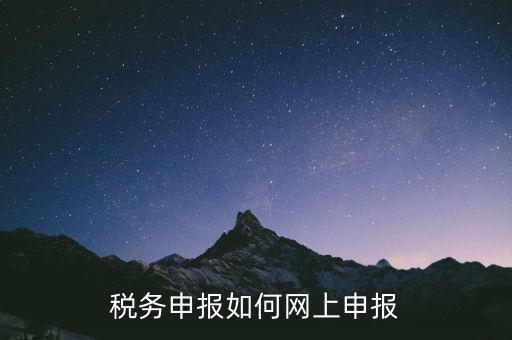 網(wǎng)上系統(tǒng)如何申報(bào)稅，稅務(wù)申報(bào)如何網(wǎng)上申報(bào)