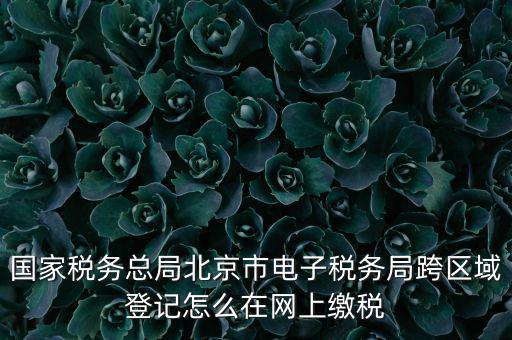 國家稅務總局北京市電子稅務局跨區(qū)域登記怎么在網(wǎng)上繳稅