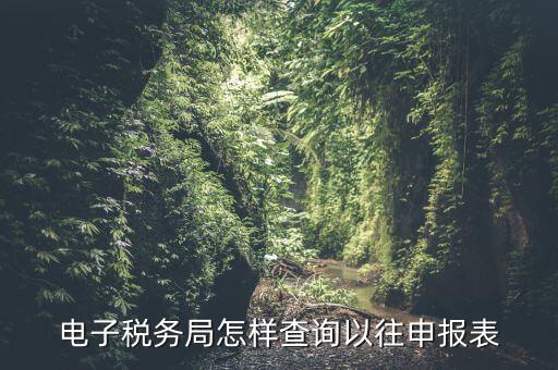 寧波地稅如何查往期申報(bào)信息，怎樣查看地稅網(wǎng)上申報(bào)記錄