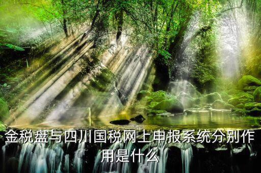 四川國稅如何網(wǎng)上申報，四川省地方稅務局網(wǎng)上怎么申報系統(tǒng)