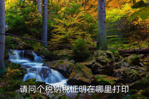 請問個(gè)稅納稅證明在哪里打印
