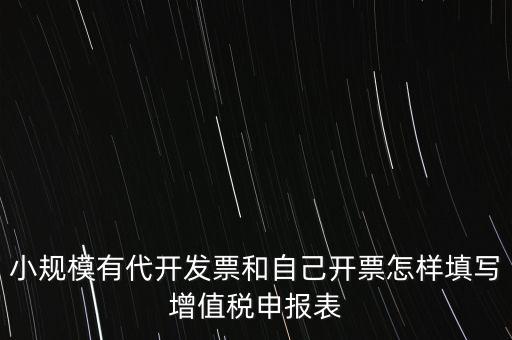 代開專票申報時如何填寫，自助開具增值稅專用發(fā)票申報單怎么填
