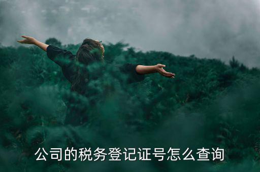 公司的稅務(wù)登記證號(hào)怎么查詢(xún)
