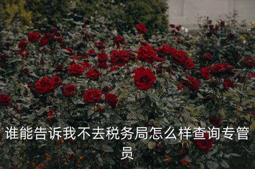 如何查納稅人的稅管員，誰能告訴我不去稅務(wù)局怎么樣查詢專管員
