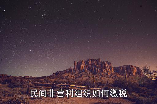 非營利組織如何納稅，民間非營利組織如何繳稅
