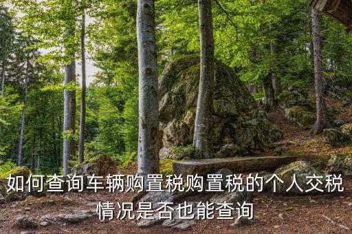 如何查汽車購置稅，我想查查我的車輛購置稅是多少怎么查