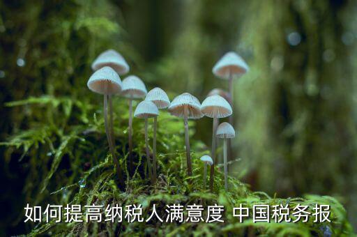 地稅如何提升納稅人滿意度，如何提高納稅人滿意度 中國稅務(wù)報(bào)