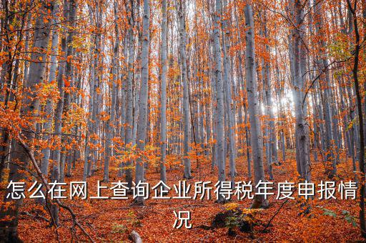 企業(yè)稅務(wù)信息如何查詢系統(tǒng)，通過企業(yè)注冊號和地稅登記證號如何查詢企業(yè)信息