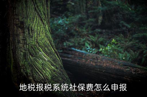 地稅如何申報社保嗎，地稅報稅時社保怎么填