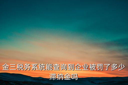 稅務(wù)部門的行政處罰如何查詢，公司的稅務(wù)罰款去哪里查詢急