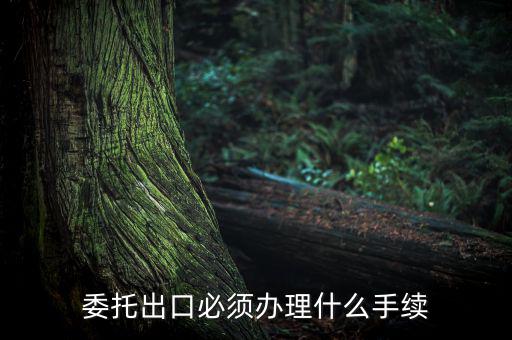 如何開具代理出口貨物證明，代理公司在當(dāng)?shù)亻_具代理出口貨物證明 請(qǐng)問我公司如何