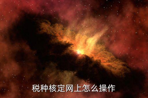 如何稅局網(wǎng)站上開通稅種，稅種認定在電子稅務(wù)局怎么操作