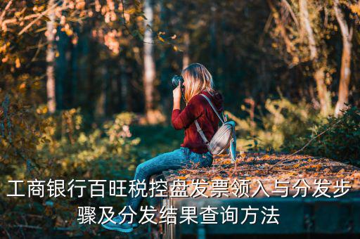 如何把百旺稅控盤，一個單位有兩個百旺的稅控盤是怎么領(lǐng)發(fā)票