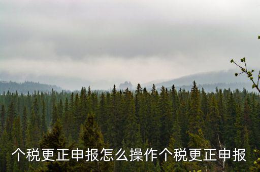 福建個(gè)人所得稅如何申報(bào)更正，個(gè)稅申報(bào)錯(cuò)了如何更正