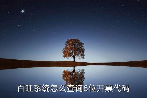 如何獲取開票代碼，增值稅專用發(fā)票開票時輸開票碼是怎么操作