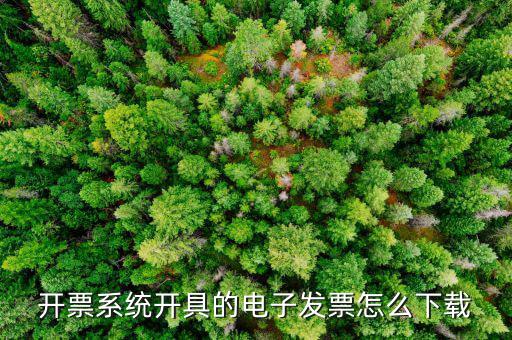 稅友的電子發(fā)票如何下載，開(kāi)票系統(tǒng)開(kāi)具的電子發(fā)票怎么下載