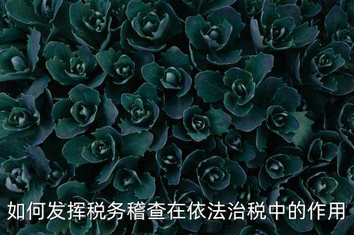 稽查部門如何優(yōu)化稅收營商環(huán)境，如何充分發(fā)揮稽查職能作用更好服務(wù)于全省稅收征管工作發(fā)展大局