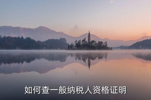 如何查一般納稅人資格，如何查一般納稅人資格證明
