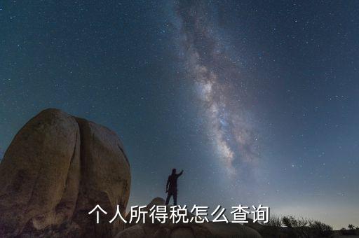 如何查詢個(gè)人稅務(wù)信息查詢，怎樣查詢個(gè)人所得稅