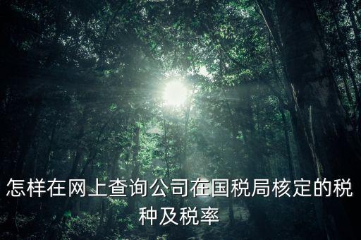 怎樣在網(wǎng)上查詢公司在國稅局核定的稅種及稅率