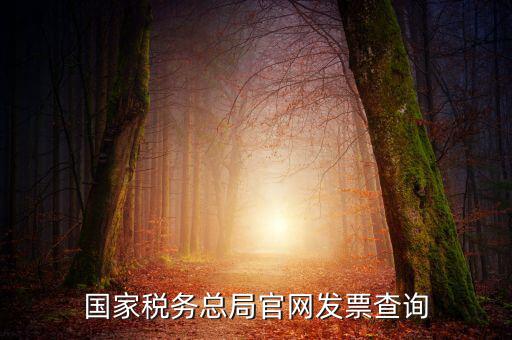 江蘇國稅如何查詢發(fā)票，江蘇發(fā)票真?zhèn)尾樵內(nèi)绾尾樵兘K發(fā)票真?zhèn)尾樵內(nèi)绾尾樵冏钪匾氖沁M