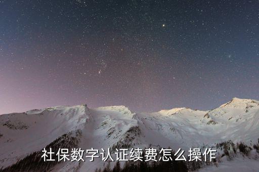 數(shù)字證書如何續(xù)費(fèi)，社保和公積金的數(shù)字證書到期怎么續(xù)費(fèi)啊