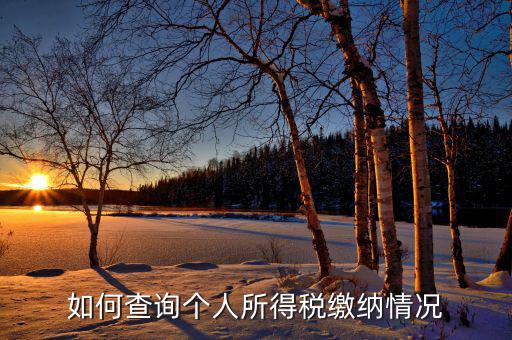 如何查詢自己交稅情況，個人繳稅記錄怎么查詢