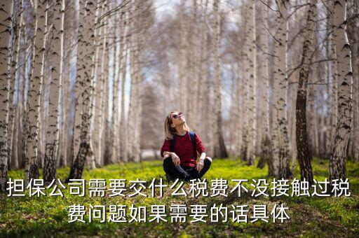 擔(dān)保公司需要交什么稅費不沒接觸過稅費問題如果需要的話具體