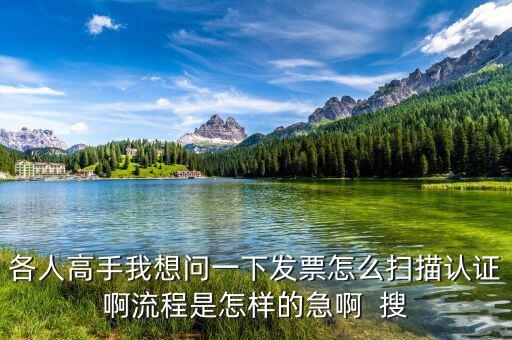 如何掃描認(rèn)證發(fā)票，各人高手我想問(wèn)一下發(fā)票怎么掃描認(rèn)證啊流程是怎樣的急啊  搜