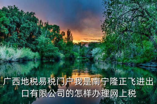 廣西地稅易稅門(mén)戶我是南寧隆正飛進(jìn)出口有限公司的怎樣辦理網(wǎng)上稅